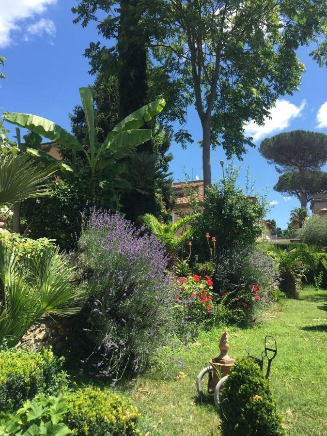 Edy House Castiglione In Teverina Exterior photo
